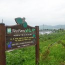 여주-1043 이미지