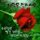 수요일 - 군산시 상지곡1길 14-6 | 수요일