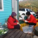 지리산 굼벵이 이미지