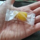 망고젤리 이미지