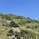 [서울 근교, 경기도 캠핑장 추천] 병목안캠핑장 (피크닉 추천/캠핑 비추천)