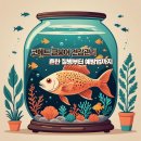 코메트 금붕어 건강 관리의 모든 것: 흔한 질병부터 예방법까지