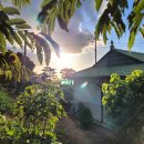 교로1리 마을회관 이미지