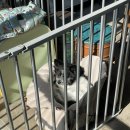 니드 | 여수 소라면 카페 니드 후기, 파이 맛집