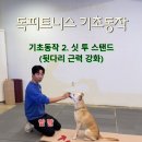 광주 본 동물병원 이미지
