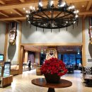 스위트밸리 이미지