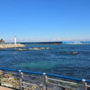 단비유통 이미지