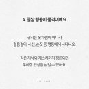 귀티나 네이버블로그