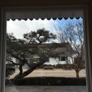P-6901 | [부여/카페] 부여 분위기 좋은 카페 비비비(B.B.B) 내돈내산 솔직 후기