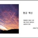 디카시詩 배우기 이미지