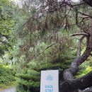 가평쏠스테이스파펜션 이미지