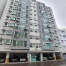 상원고 건너편 이미지