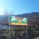 엠와이힐링캠핑장 이미지