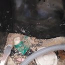 수자원공사 사택 이미지