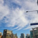 CU 역삼유토빌점 | 가을이 오는 소리 소금빵 장보기 하늘사진 제주 강국수