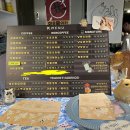 냥토피아 이미지