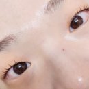 파티수래쉬 눈썹&속눈썹 이미지