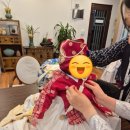 송파구 잠실 가성비 돌잔치 한복_백성순 한복