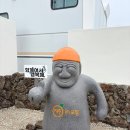 제주 인 포항 이미지