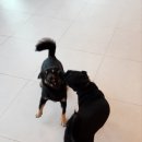 울루라떼 이미지