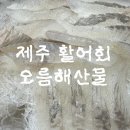 오름 | 제주 활어회 제대로 맛본 오름해산물 후기! (제주 활어회 · 오름해산물)