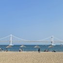 국제밀면 이미지
