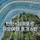 2024년 7월 말~8월 초 인도네시아 빈탄+싱가포르 자유여행 후기 6탄