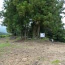 하례2리 이미지