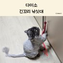 화려한휴식 | 다이소 고양이 긴꼬리 낚싯대｜화려한 꼬리와 방울 놀이 솔직 후기