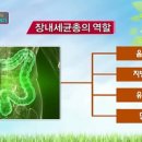 감초약국 티스토리