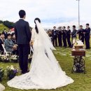 마샬헤어라인 이미지