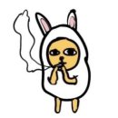 컴낙원