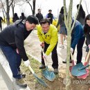 고향의봄길 이미지