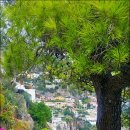 중북부3 Daum카페
