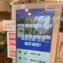 24시꽃 이미지