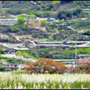 화심농장 이미지