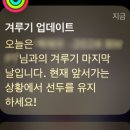 올리브유 레몬즙 효능 살빠져요