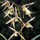 수채 드로잉 이미지