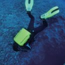 재호환경 이미지