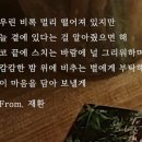 김재환, 'THE LETTER' 첫 보이스 필름 공개..아련한 겨울 감성 이미지