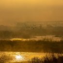 늘기쁜약국 이미지