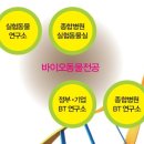 영인약품 이미지