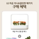 틔운 미니 + 클린팟 페이코 47% 세일 105,470원 이미지