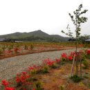 보광농원 이미지