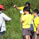 충암초등학교 이미지