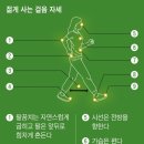 걸음걸이만 봐도 &#39;인지 기능&#39;이 보인다 / 김철중 이미지