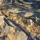 미하농장 이미지