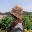 멜로즈 이미지