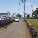 ◀ 대정읍 신도리 취락지구 토지 / 503평 / 당50 급매도 이미지