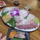 강진-13 | 송파구 횟집 강진수산 가락몰 대방어모듬회 내돈내산 솔직 후기